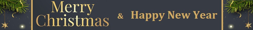 Merry Christmas & Happy New Year 2025