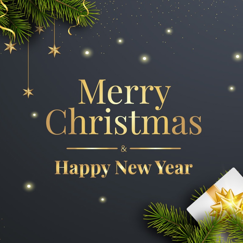 Merry Christmas & Happy New Year 2025