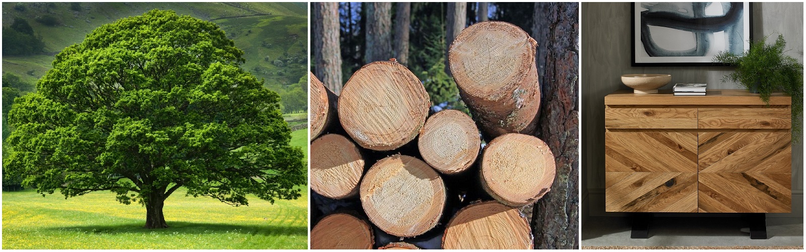 Is Oak Good Wood For Furniture?